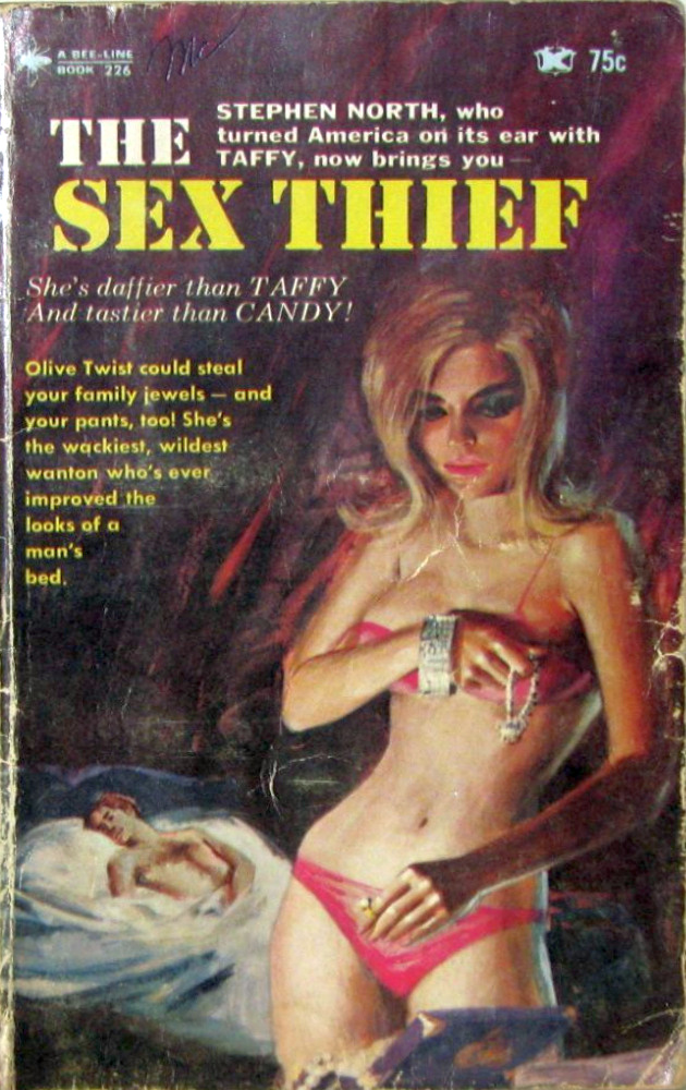 The Sex Thief by Stephen North - Ebook