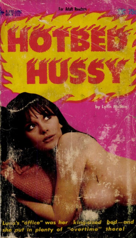 Hotbed Hussy by Lynn Martin - Ebook 