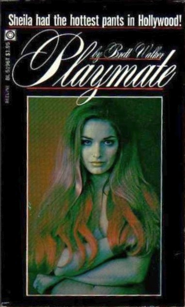 Playmate by Brett Walker - Ebook