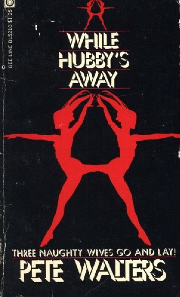 While Hubby's Away by Pete Walters - Ebook