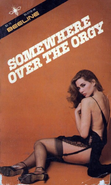 Somewhere Over The Orgy by Maggie Kaye - Ebook