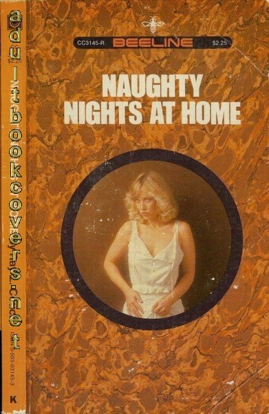 Naughty Nights At Home by Ray L Couch - Ebook