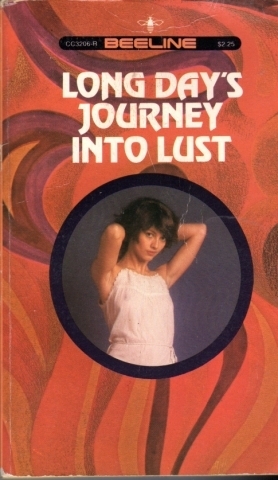 Long Day's Journey Into Lust by Bernie Heller - Ebook