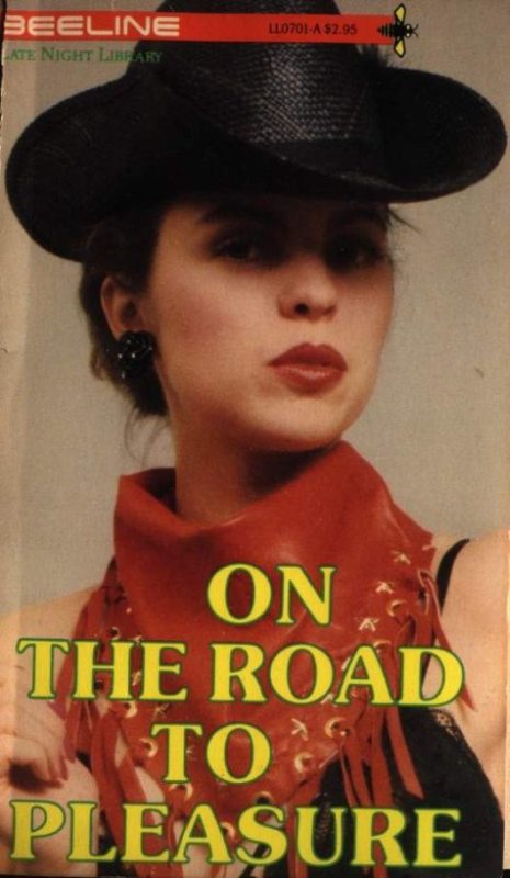 On the Road to Pleasure by Casey Garrett - Ebook