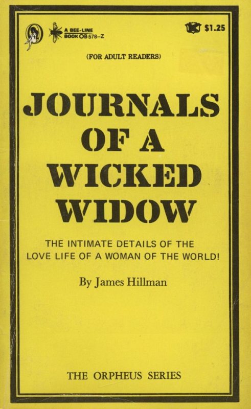 Journals Of A Wicked Widow by James Hillman - Ebook