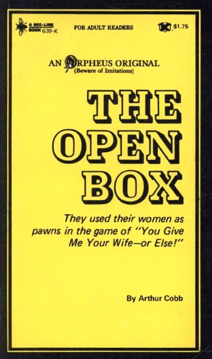 The Open Box by Arthur Cobb - Ebook 