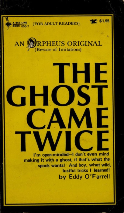 The Ghost Came Twice by Eddy O'Farrell - Ebook 
