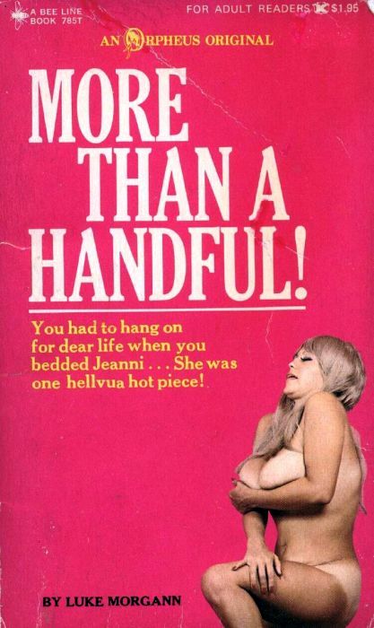 More Than A Handful by Luke Morgann - Ebook