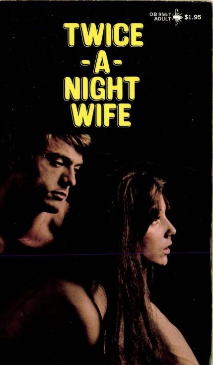 Twice-A-Night Wife by Leo Wilshe - Ebook 