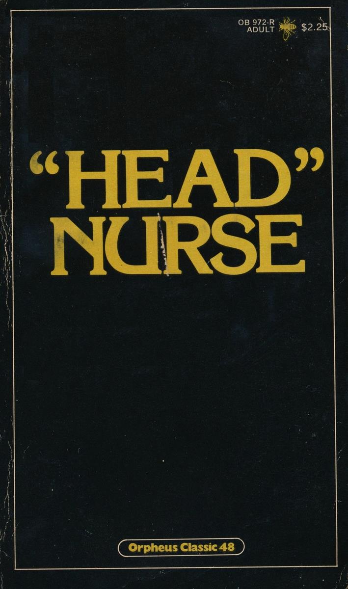Head Nurse by Kathryn Fleming - Ebook