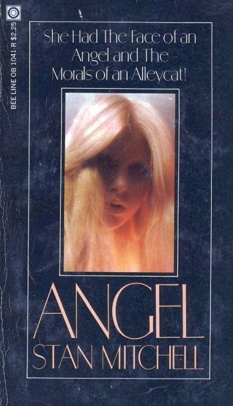 Angel by Stan Mitchell - Ebook 