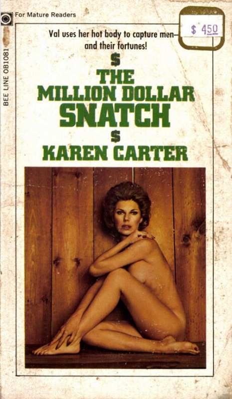 The Million Dollar Snatch by Karen Carter - Ebook 