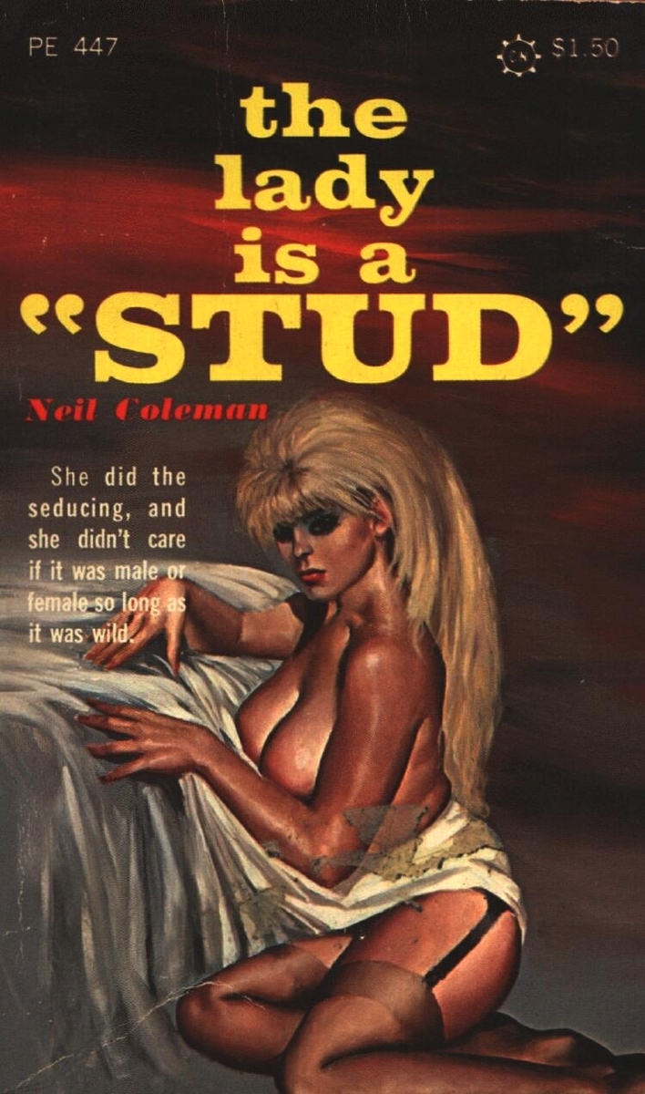 The Lady Is A Stud by Neil Coleman - Ebook