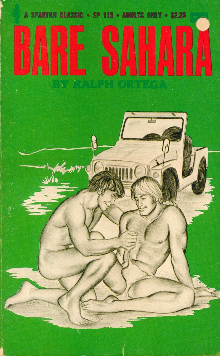 Bare Sahara by Ralph Ortega - Ebook