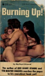 Burning Up! by Big Boyd Ormond - Ebook 