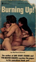 Burning Up! by Big Boyd Ormond - Ebook 
