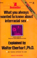 What You Always Wanted To Know About Interracial Sex