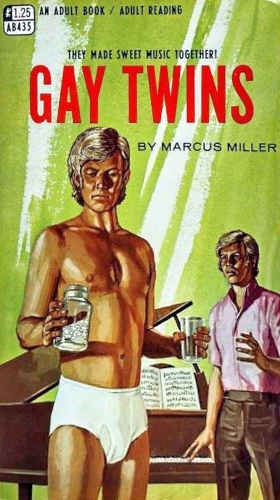 Gay Twins by Marcus Miller - Ebook