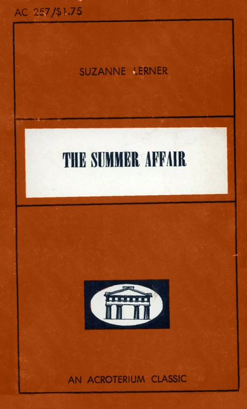 The Summer Affair by Suzanne Lerner - Ebook