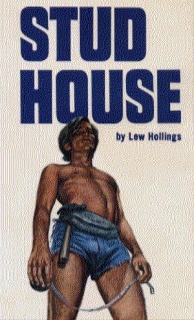 Stud House by Lew Hollings - Ebook 