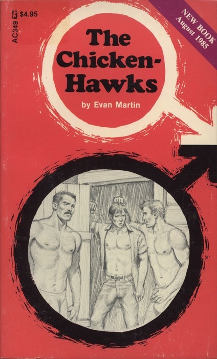 The Chicken-Hawks by Evan Martin - Ebook 
