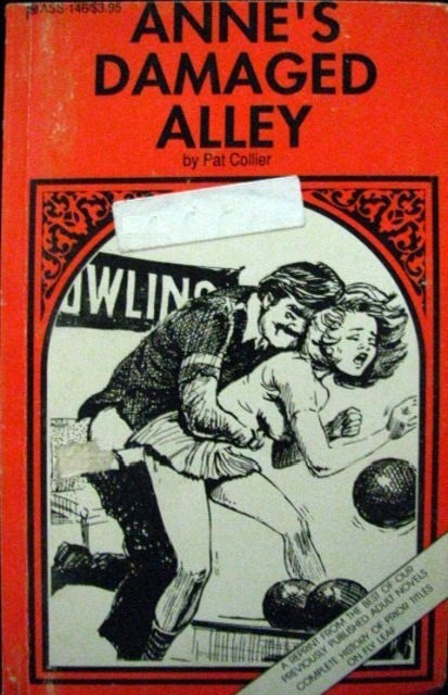 Anne's Damaged Alley by Pat Collier - Ebook 