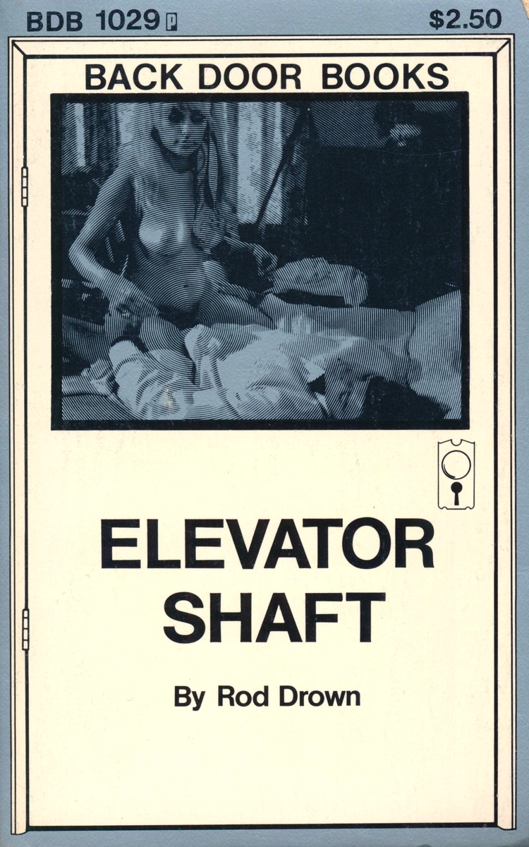 BDB-1029 - Elevator Shaft by Rod Drown - Ebook