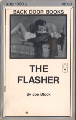 The Flasher by Joe Block - Ebook