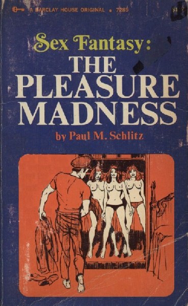 Sex Fantasy-The Pleasure Madness by Paul M. Schlitz - Ebook