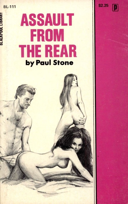Assault From The Rear by Paul Stone - Ebook 