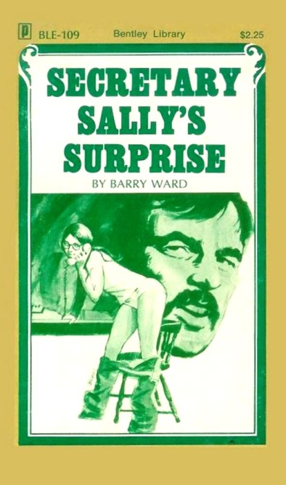 Secretary Sally's Surprise by Barry Ward - Ebook
