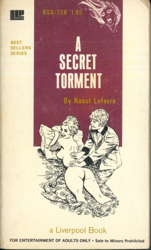 A Secret Torment by Raoul Lefevre - Ebook 
