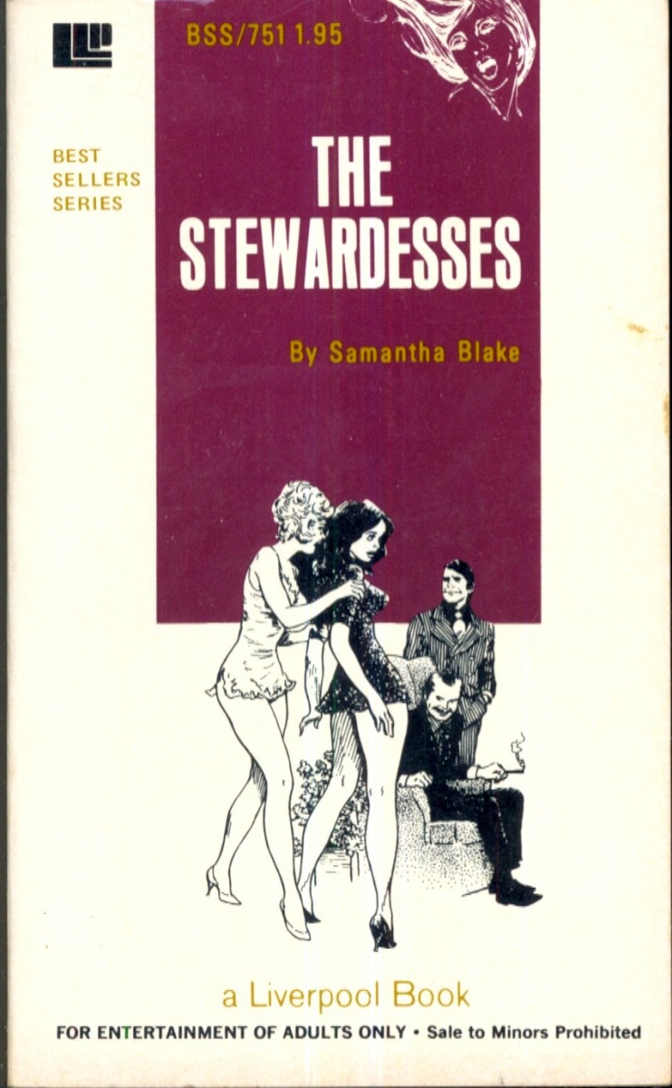 The Stewardesses by Samantha Blake - Ebook