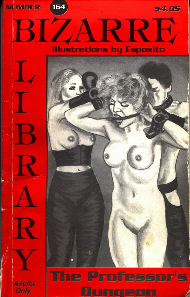 The Professor's Dungeon - Ebook