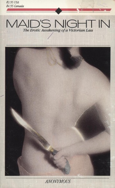 Maid's Night In - Ebook 