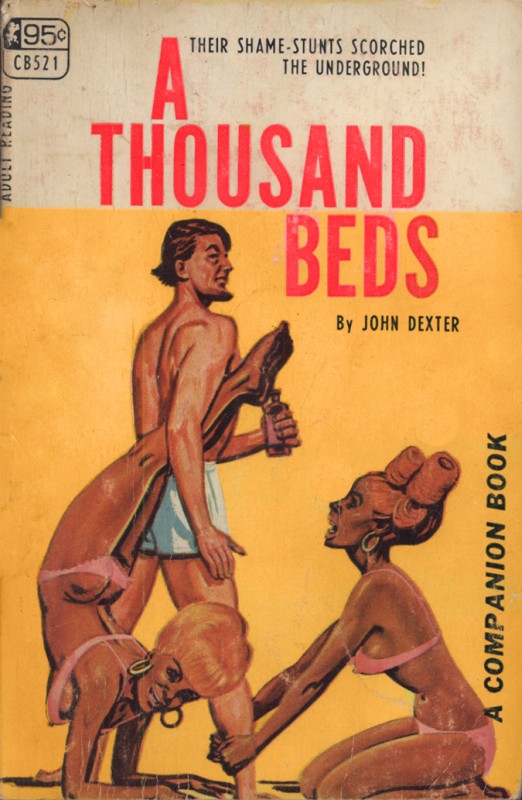 A Thousand Beds by John Dexter - Ebook 