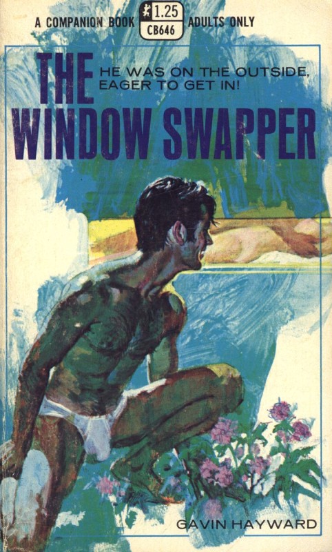 The Window Swapper by Gavin Hayward - Ebook 