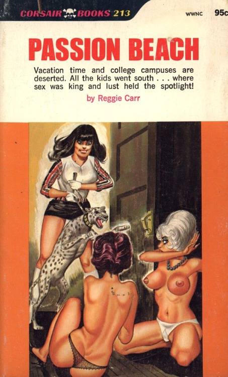 Passion Beach by Reggie Carr - Ebook 