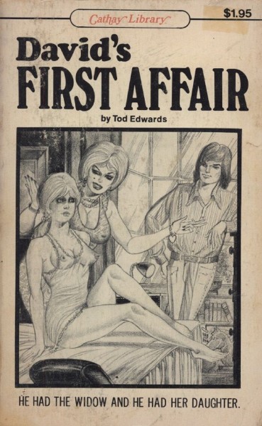 David's First Affair by Tod Edwards - Ebook