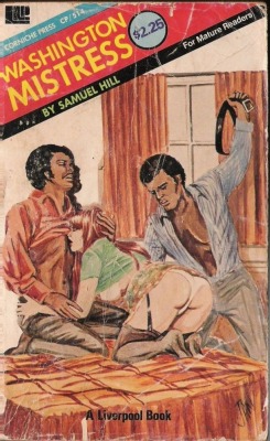 Washington Mistress by Samuel Hill - Ebook