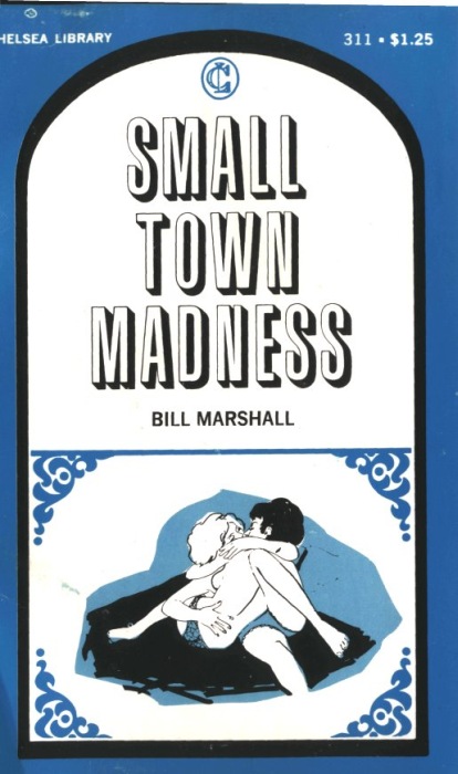 Small Town Madness by Bill Marshall - Ebook 