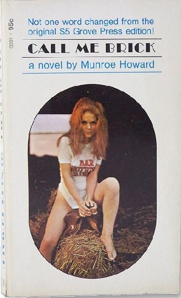 Call Me Brick by Munroe Howard - Ebook 