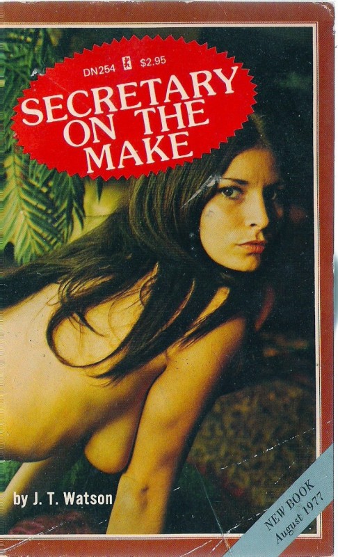 Secretary On The Make by JT Watson - Ebook 