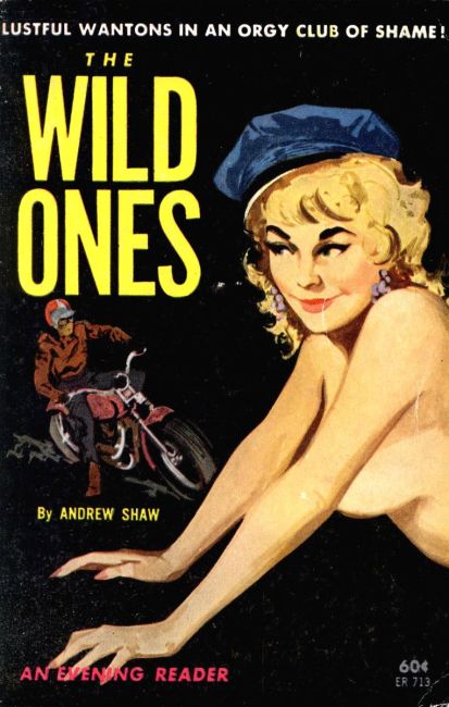 The Wild Ones by Andrew Shaw - Ebook