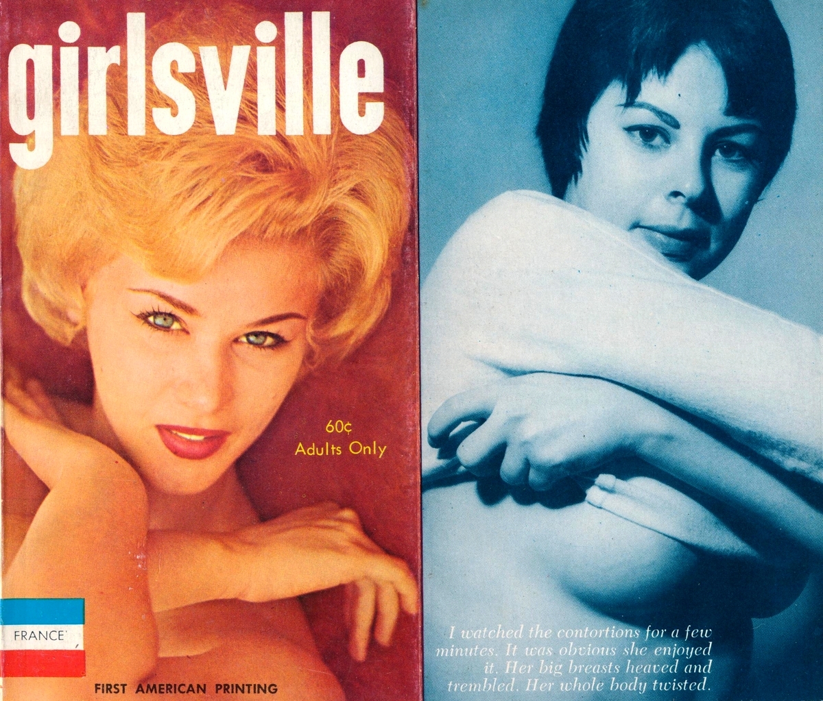 Girlsville by Richard E. Geis - Ebook