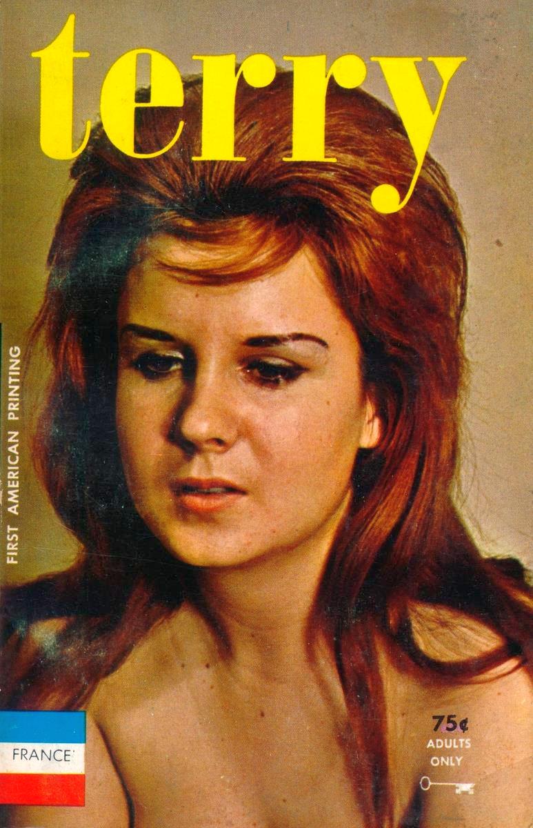 Terry by Dominic Plato - Ebook