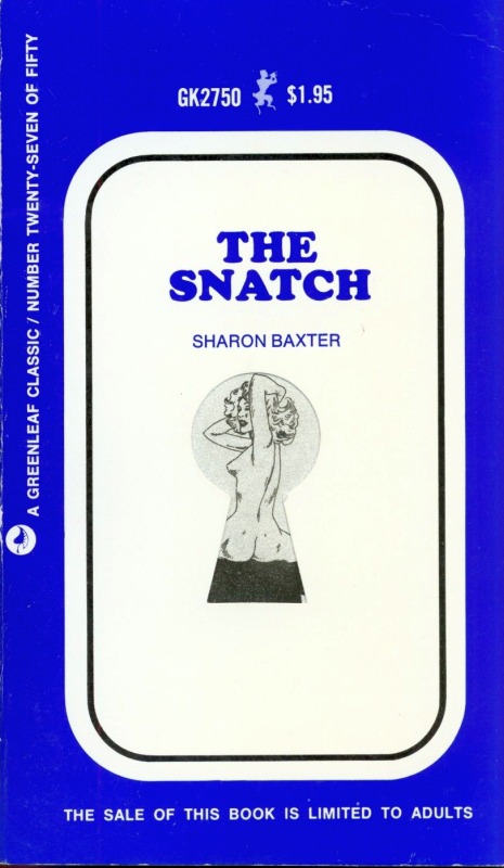 The Snatch by Sharon Baxter - Ebook