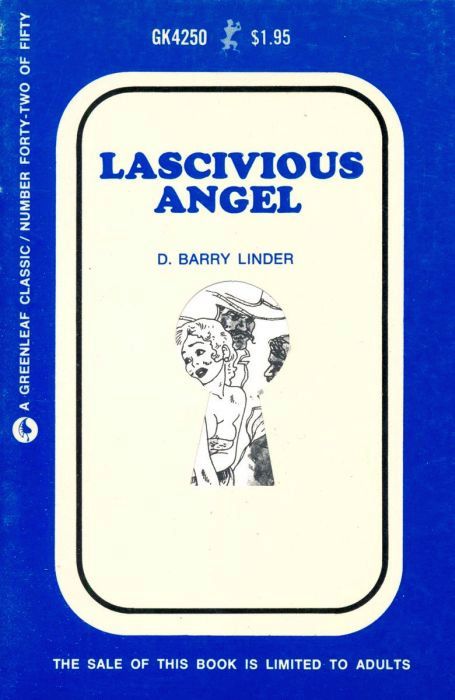 Lascivious Angel by D. Barry Linder - Ebook