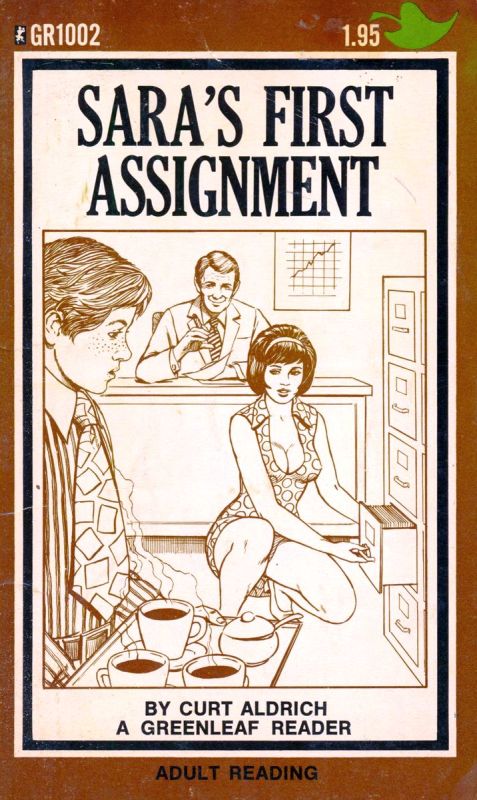 Sara's First Assignment by Curt Aldrich - Ebook