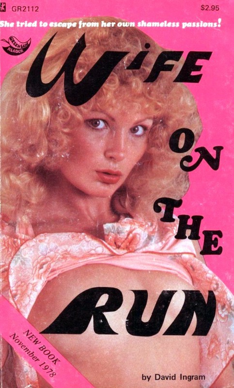 Wife On The Run by David Ingram - Ebook 